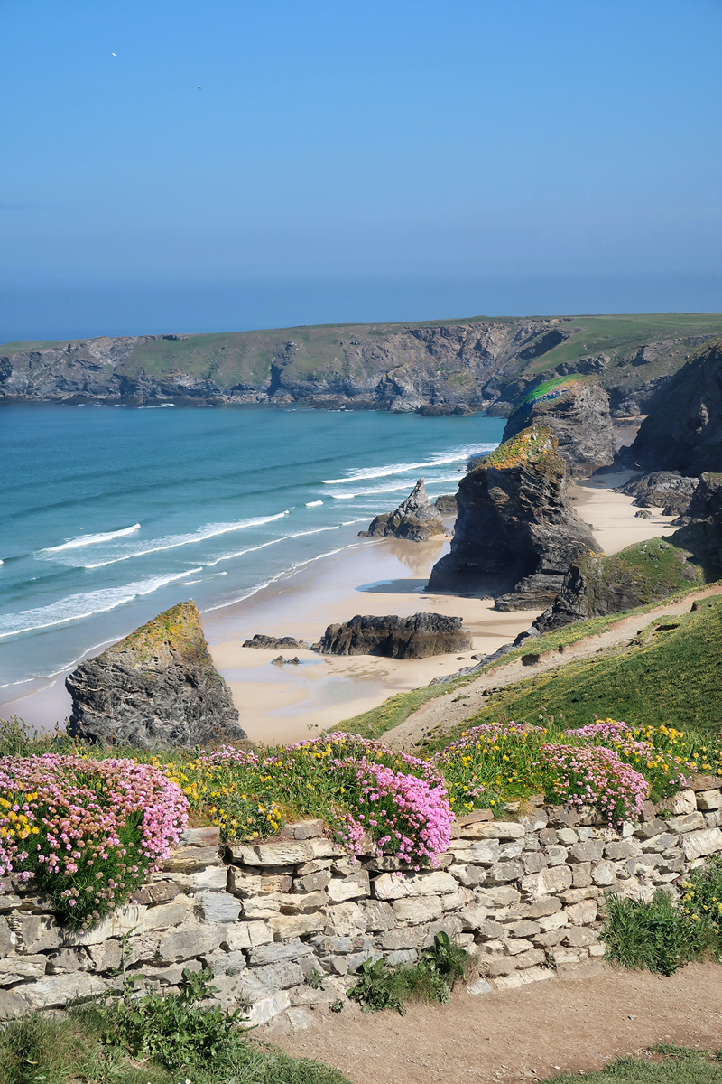 Coast and Flowers by George-Hiles (2)