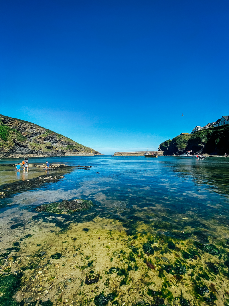 Port Isaac Greg-Willson